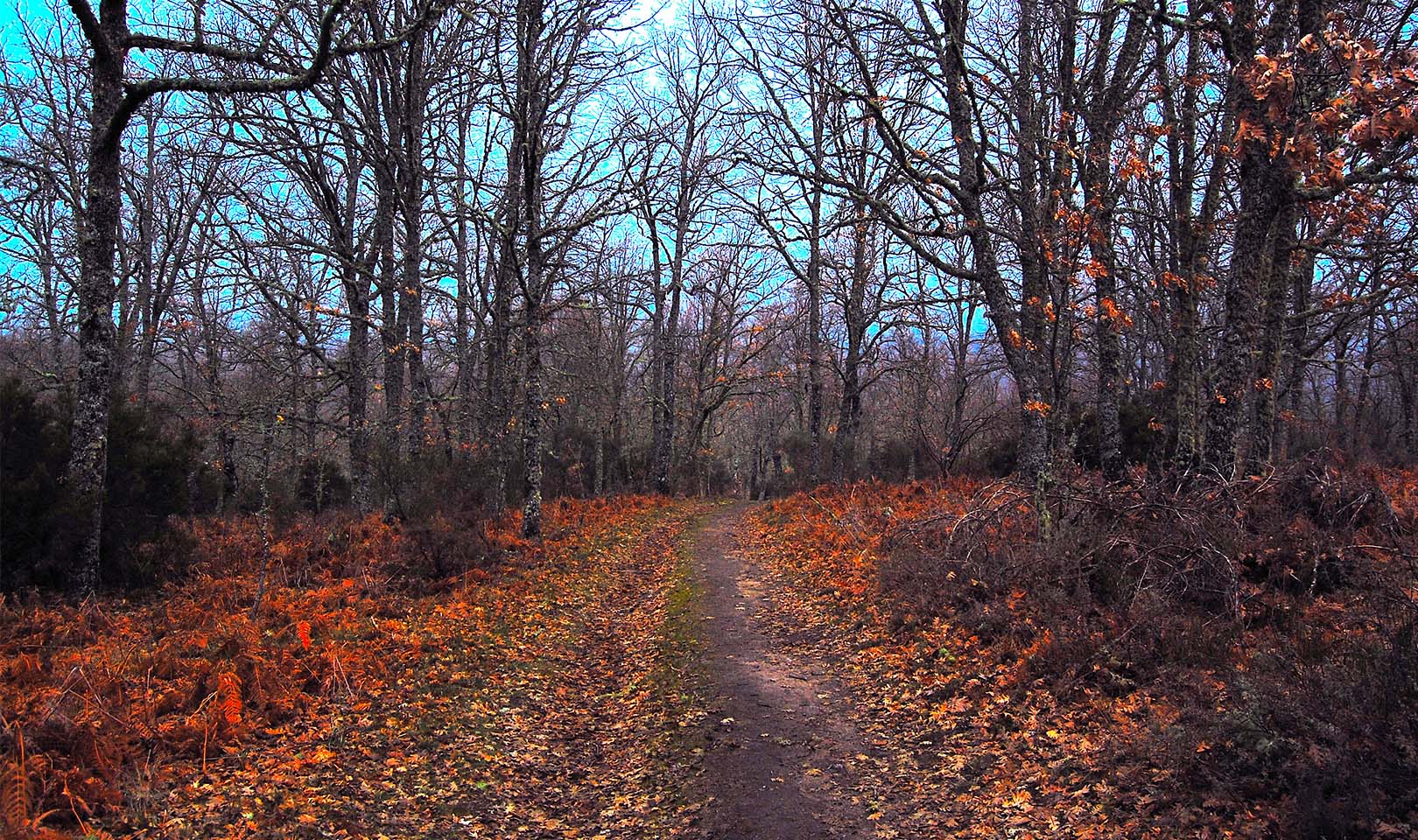 Las emociones y la ansiedad