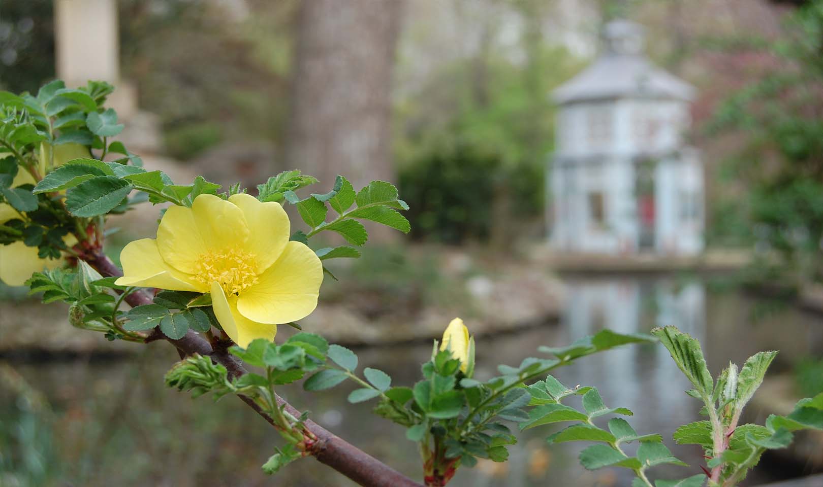 Qué es la Autoestima