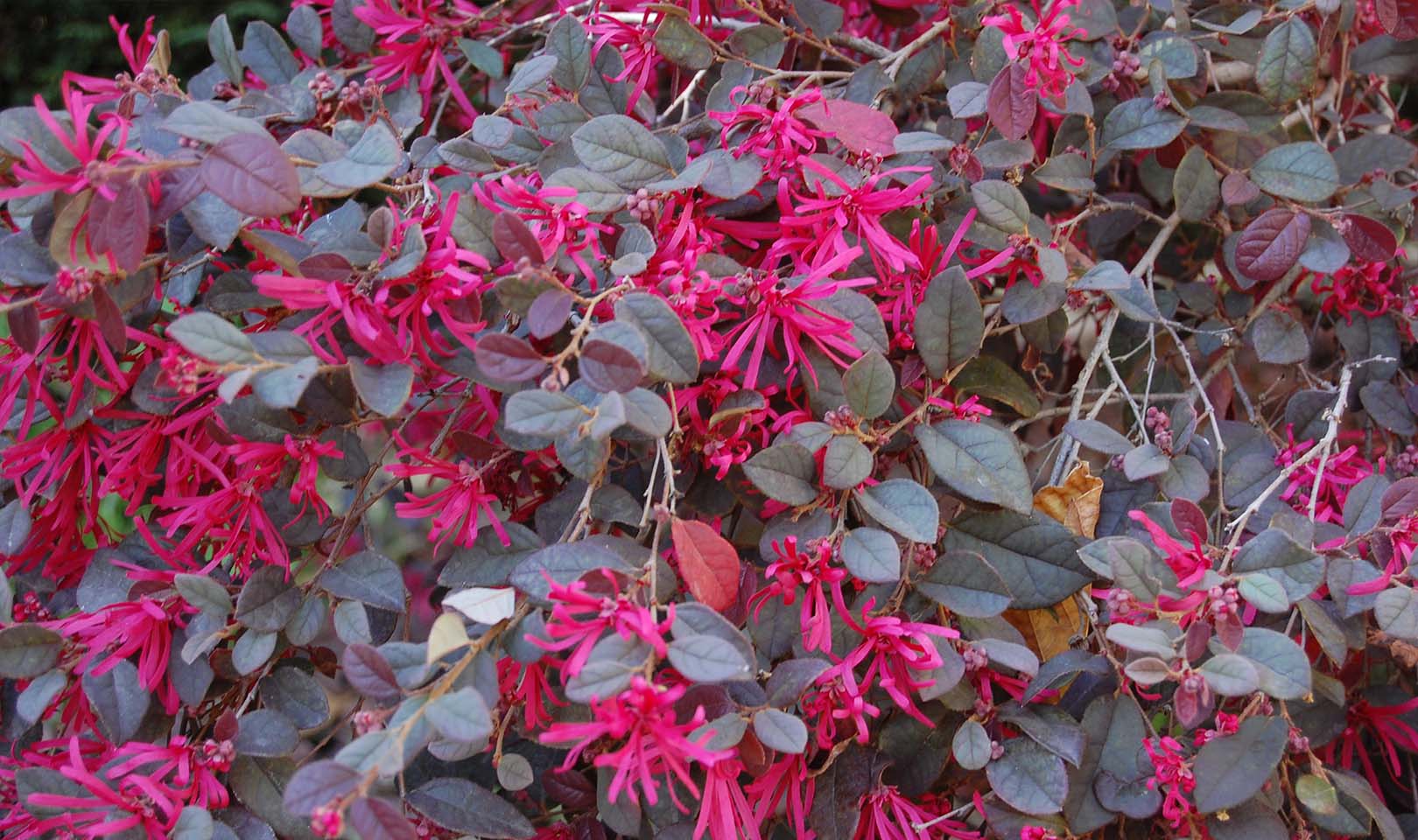 Los errores que solemos cometer al pensar