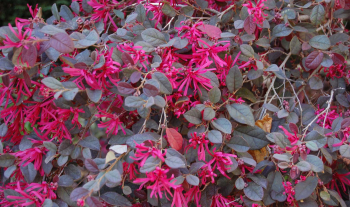 Los errores que solemos cometer al pensar