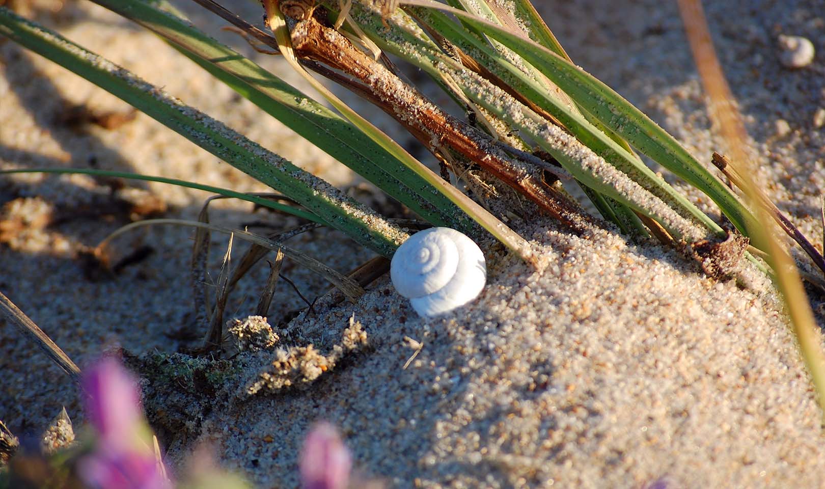 Límites: Expresarnos con los demás